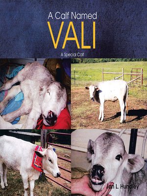 cover image of A Calf Named Vali